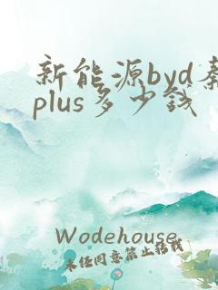 新能源byd秦plus多少钱