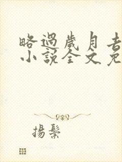 略过岁月去爱你小说全文免费阅读