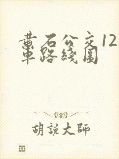黄石公交12路车路线图 黄石公交12路车路线图