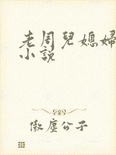 老周儿媳妇秦岚小说