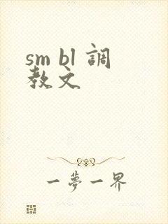sm bl 调教文