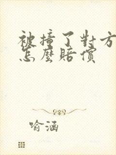 被撞了对方全责怎么赔偿