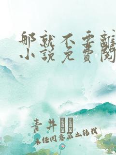 那就不要离开我小说免费阅读