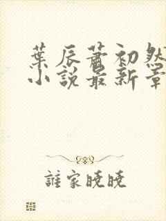 叶辰萧初然结局小说最新章节 叶辰萧初然结局小说最新章节