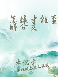 怎样才能查看实时公交 怎样才能查看实时公交