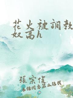 花火被调教成肉奴高h