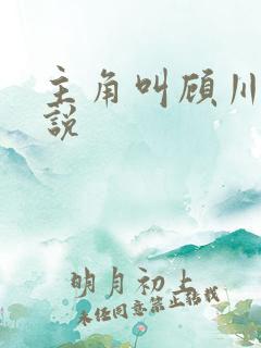 主角叫顾川的小说
