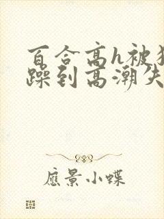 百合高h被狂c躁到高潮失禁男男