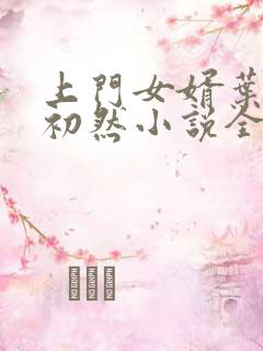 上门女婿叶辰萧初然小说全集