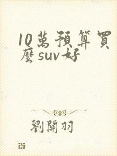 10万预算买什么suv好