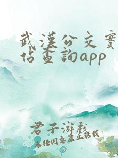 武汉公交实时到站查询app 武汉公交实时到站查询app