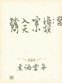 踏入官场:医道问天小说 踏入官场:医道问天小说