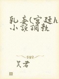 乳妾(宫廷h)小说调教