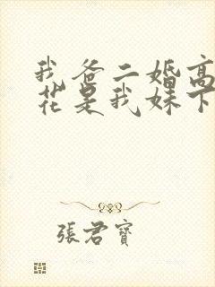 我爸二婚高冷校花是我妹下载