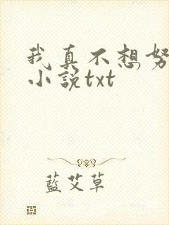 我真不想努力了小说txt