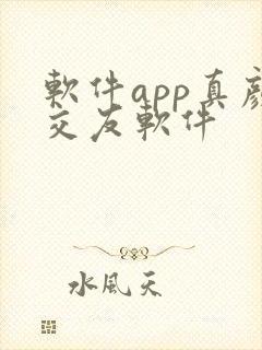 软件app真颜交友软件
