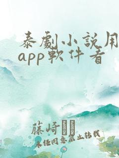 泰剧小说用什么app软件看
