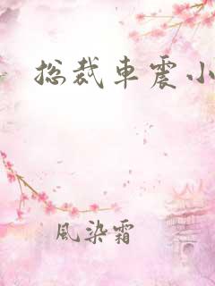 总裁车震小说