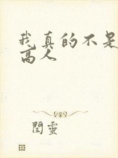 我真的不是隐世高人