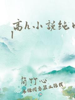 高h小说纯肉bl