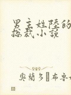 男主姓陆的豪门总裁小说
