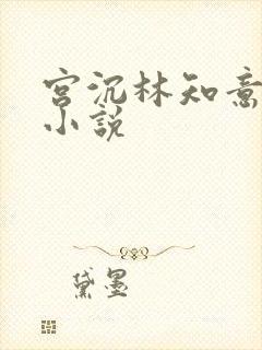宫沉林知意正版小说