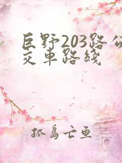 巨野203路公交车路线