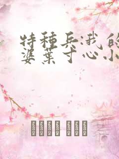 特种兵:我的老婆叶寸心小说