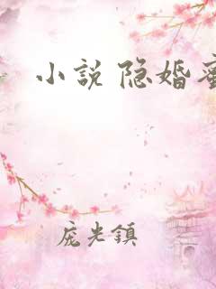 小说 隐婚蜜爱