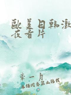 欧美日韩激情午夜看片