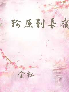 松原到长岭客车