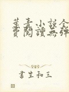 叶青小说全文免费阅读无弹窗