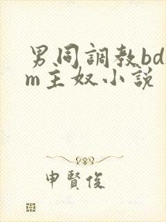 男同调教bdsm主奴小说