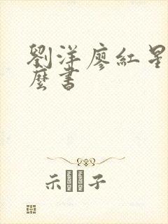 刘洋廖红星是什么书 刘洋廖红星是什么书