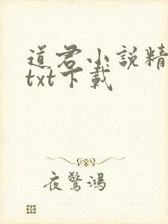 道君小说精校版txt下载