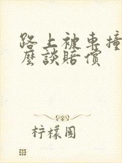路上被车撞了怎么谈赔偿