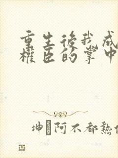 重生后我成为了权臣的掌中娇