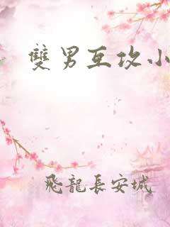 双男互攻小说