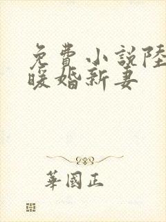 免费小说陆少的暖婚新妻
