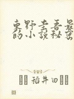 东野圭吾最好看的小说秘密