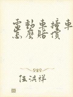 电动车撞车全责怎么赔偿