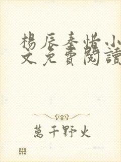 杨辰秦惜小说全文免费阅读最新章节更新