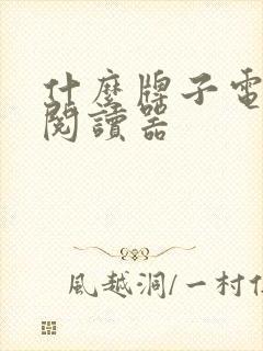 什么牌子电子书阅读器