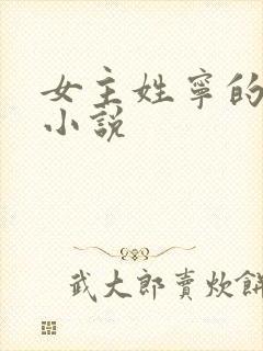 女主姓宁的现代小说
