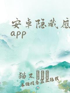 安卓隐藏应用的app