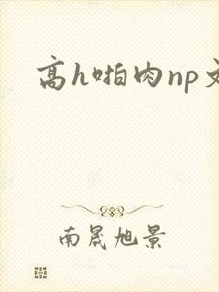 高h啪肉np文