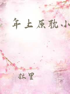 年上原耽小说