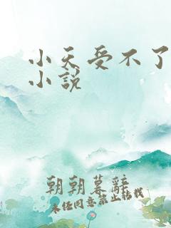 小天受不了给我小说