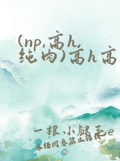 (np,高h,纯肉)高h高辣小说