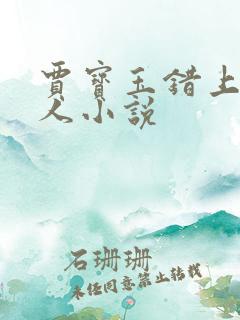 贾宝玉错上王夫人小说